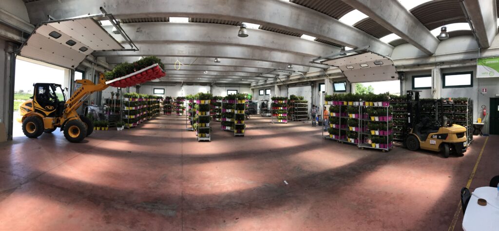 Green Platform spedizioni